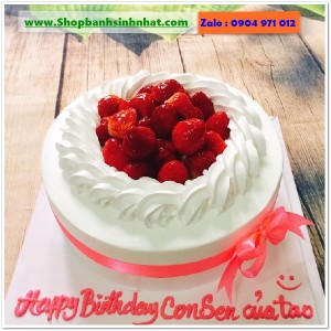 Bánh Sinh Nhật Trái Cây Tươi - U68